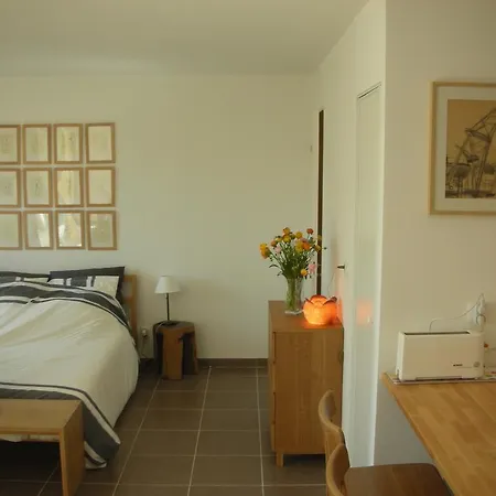 Appartement Magnifique Studio A *